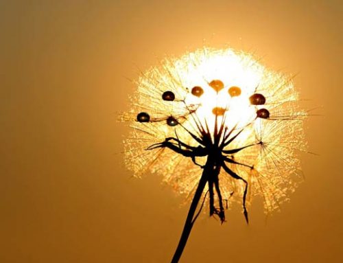 Lenormandgeflüster – Die Sonne